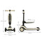2-in-1 paspirtukas HALLEY