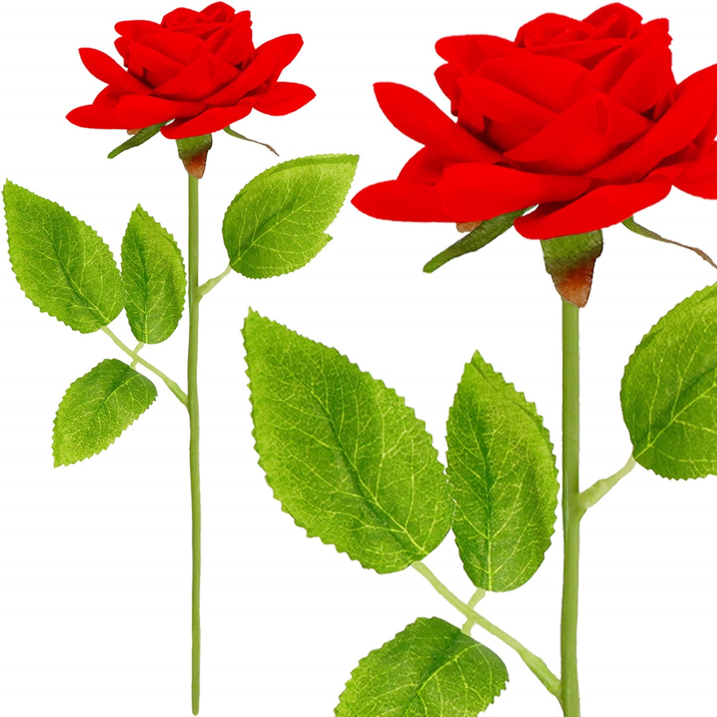 Rožė ant stiebo dovanų dėžutėje su magnetiniu užsegimu – juoda / raudona / žalia HA7449