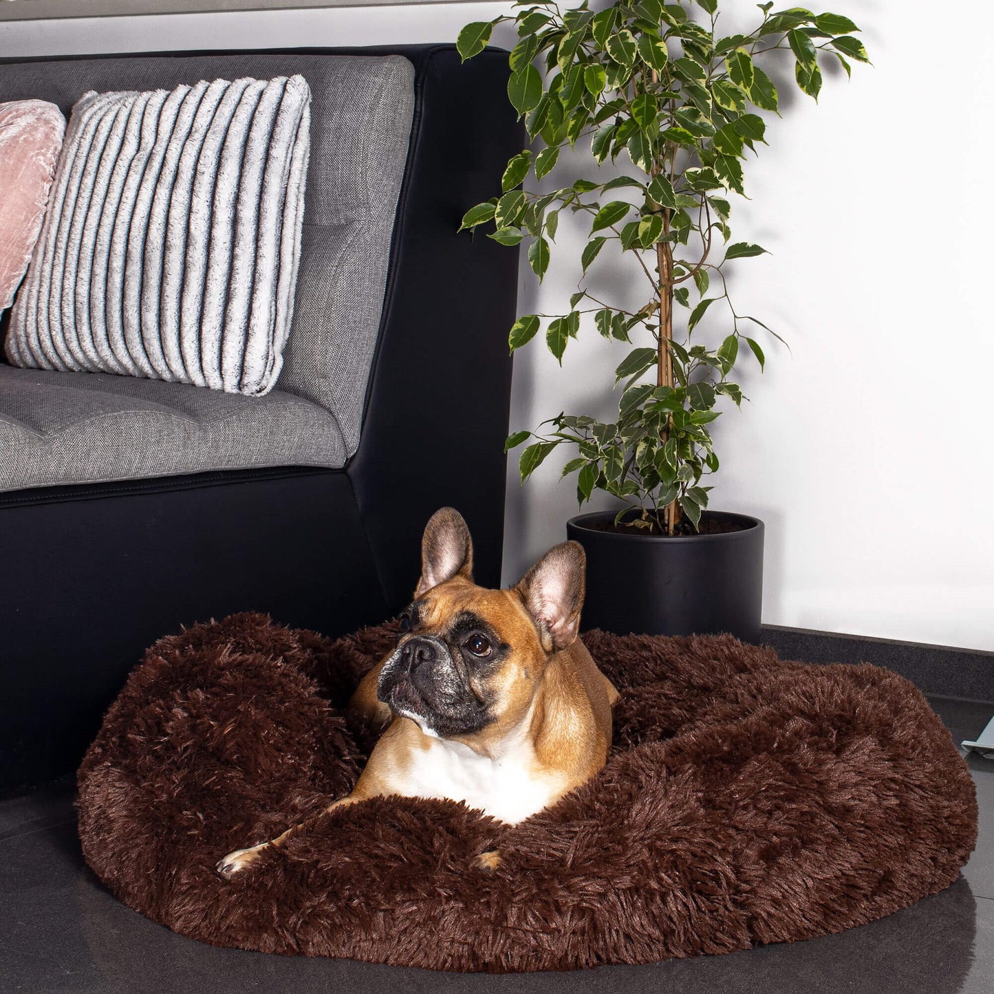 Šuns arba katės guolis PA0139 40 cm