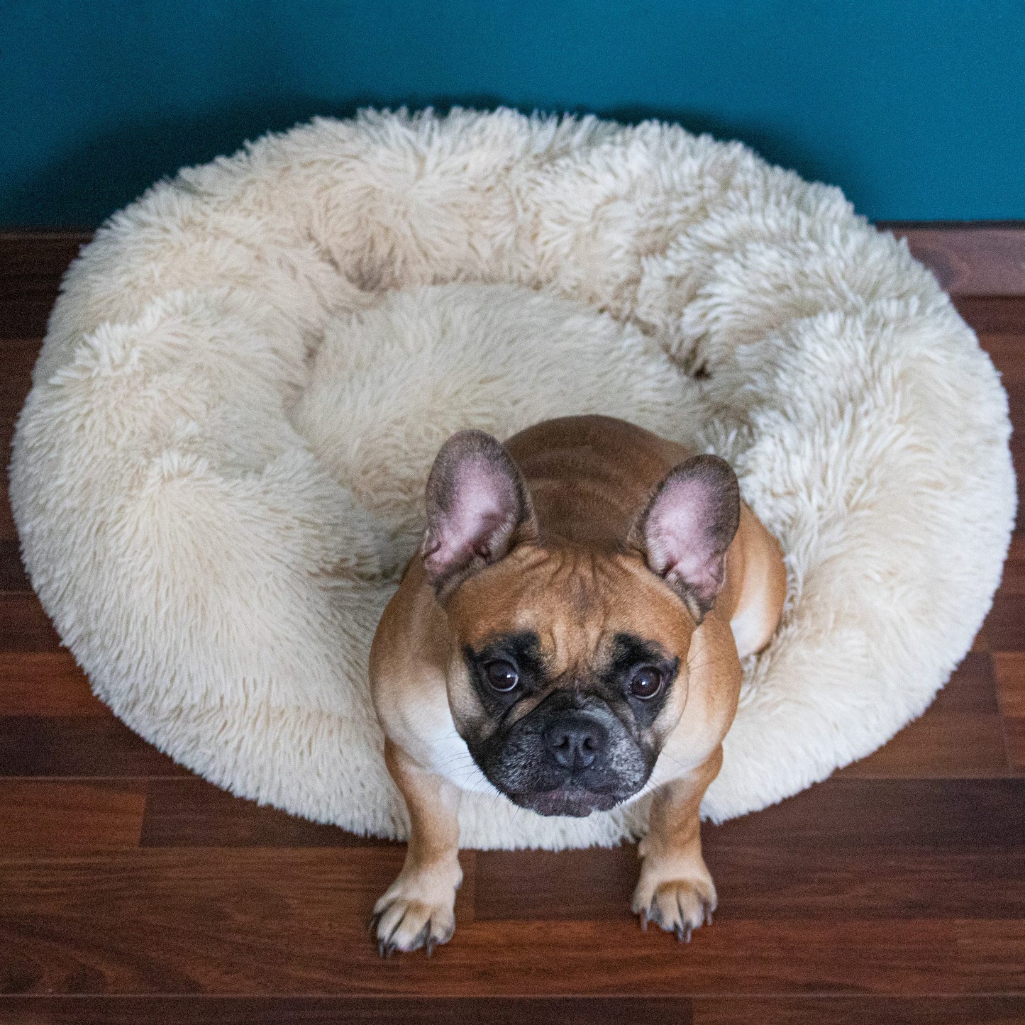 Šuns arba katės guolis PA0090 40cm