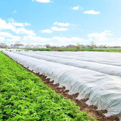 Žieminė agrotekstilė Springos AG0003 70g/m2 50x3,2m balta