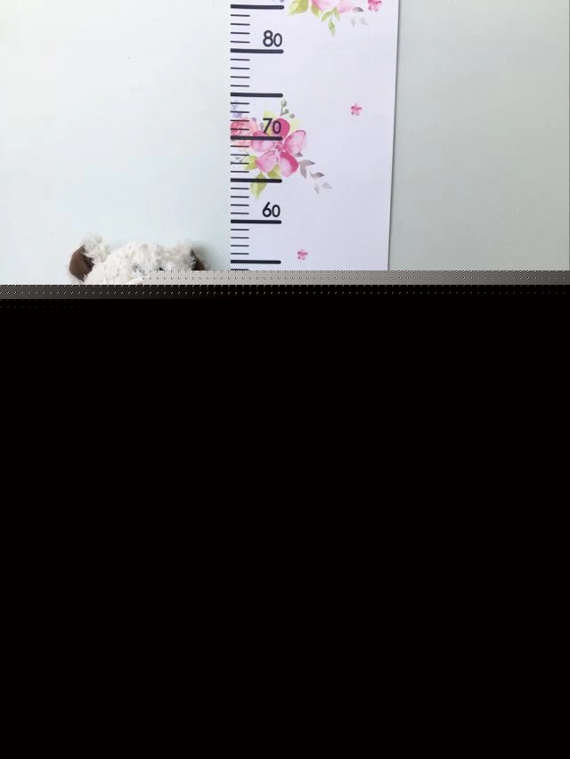 Paper Growth Chart For Kids - Princess