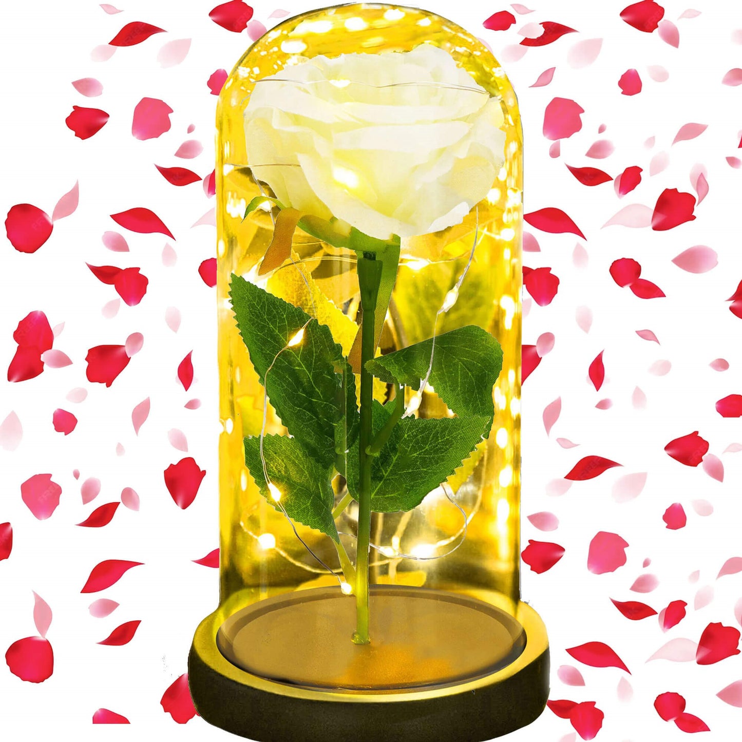 Amžinoji rožė stikliniame kupole  HA7443
