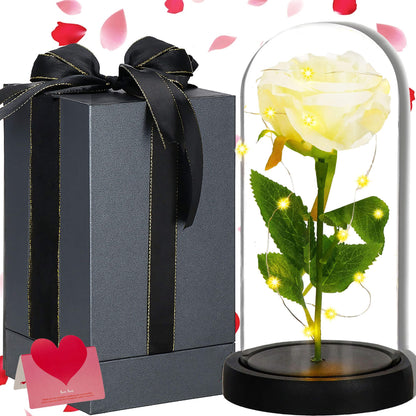 Amžinoji rožė stikliniame kupole  HA7443