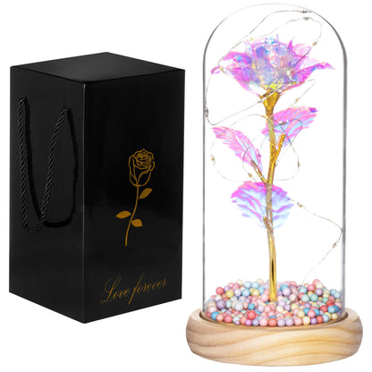 Amžinoji rožė stikliniame kupole  HA5159