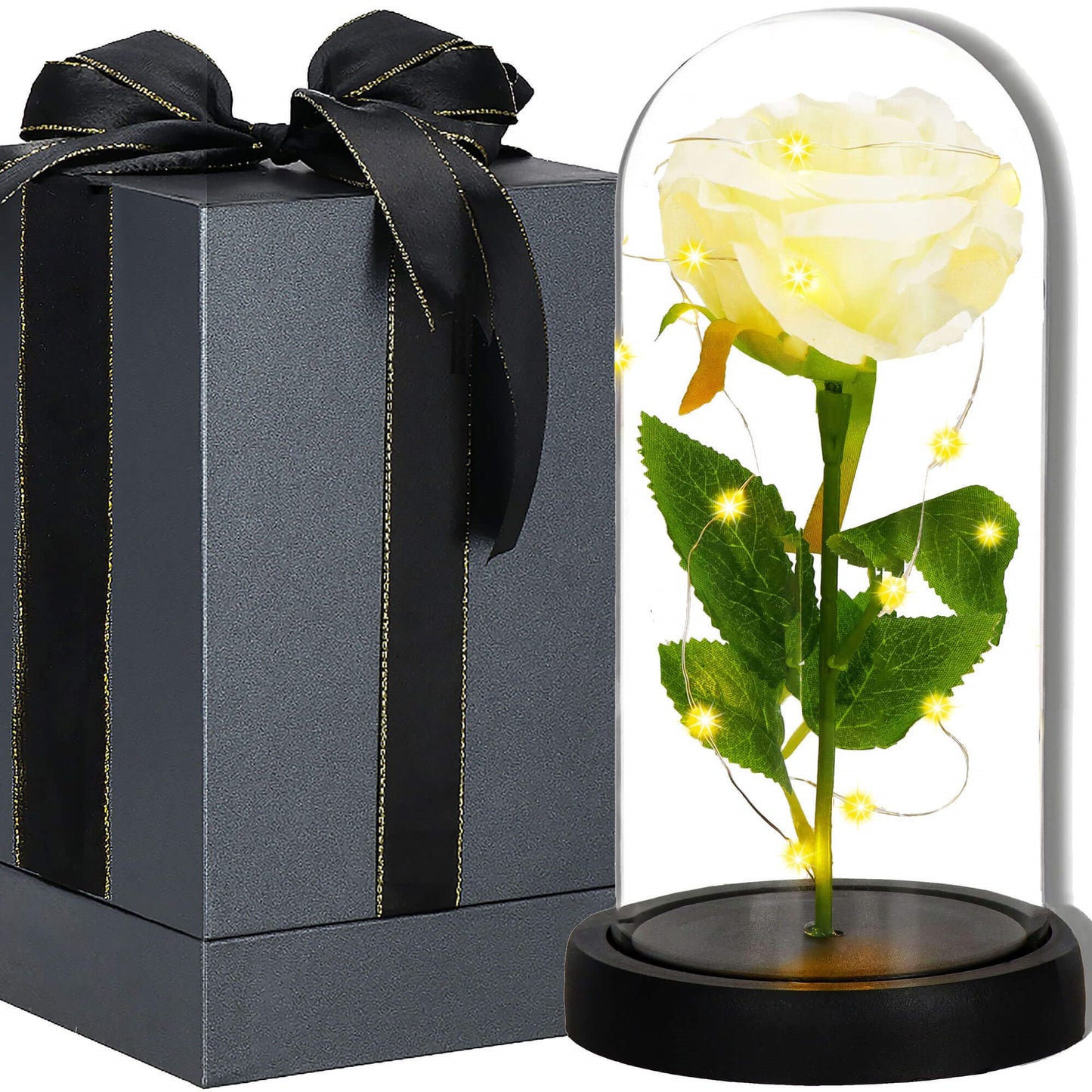 Amžinoji rožė stikliniame kupole  HA7443