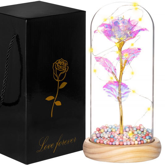 Amžinoji rožė stikliniame kupole  HA5159