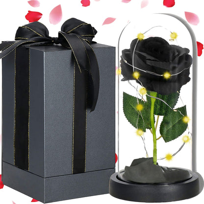 Amžinoji rožė stikliniame kupole HA7442
