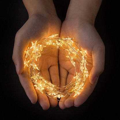 CL0070 Girlianda 20 LED, šilta balta, 5m