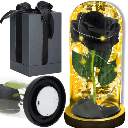 Amžinoji rožė stikliniame kupole HA7442