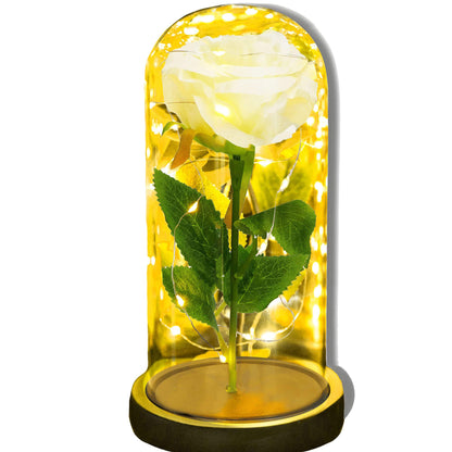 Amžinoji rožė stikliniame kupole  HA7443