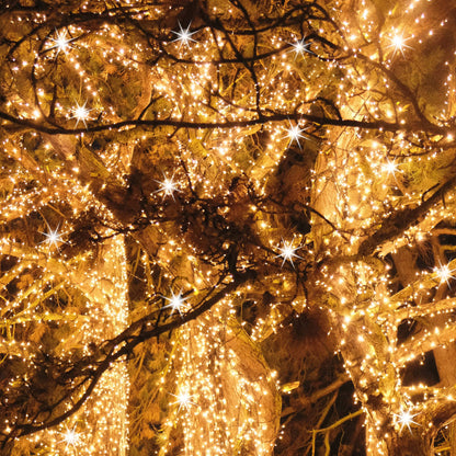 Pavasarinės kalėdinės lemputės CL4096 1000 led, 50m, šilta balta + šaltai balta blykstė