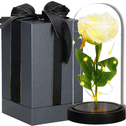 Amžinoji rožė stikliniame kupole  HA7443
