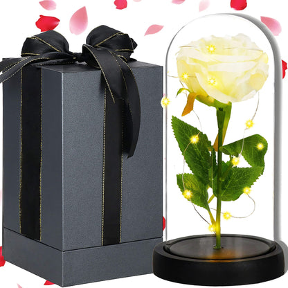 Amžinoji rožė stikliniame kupole  HA7443