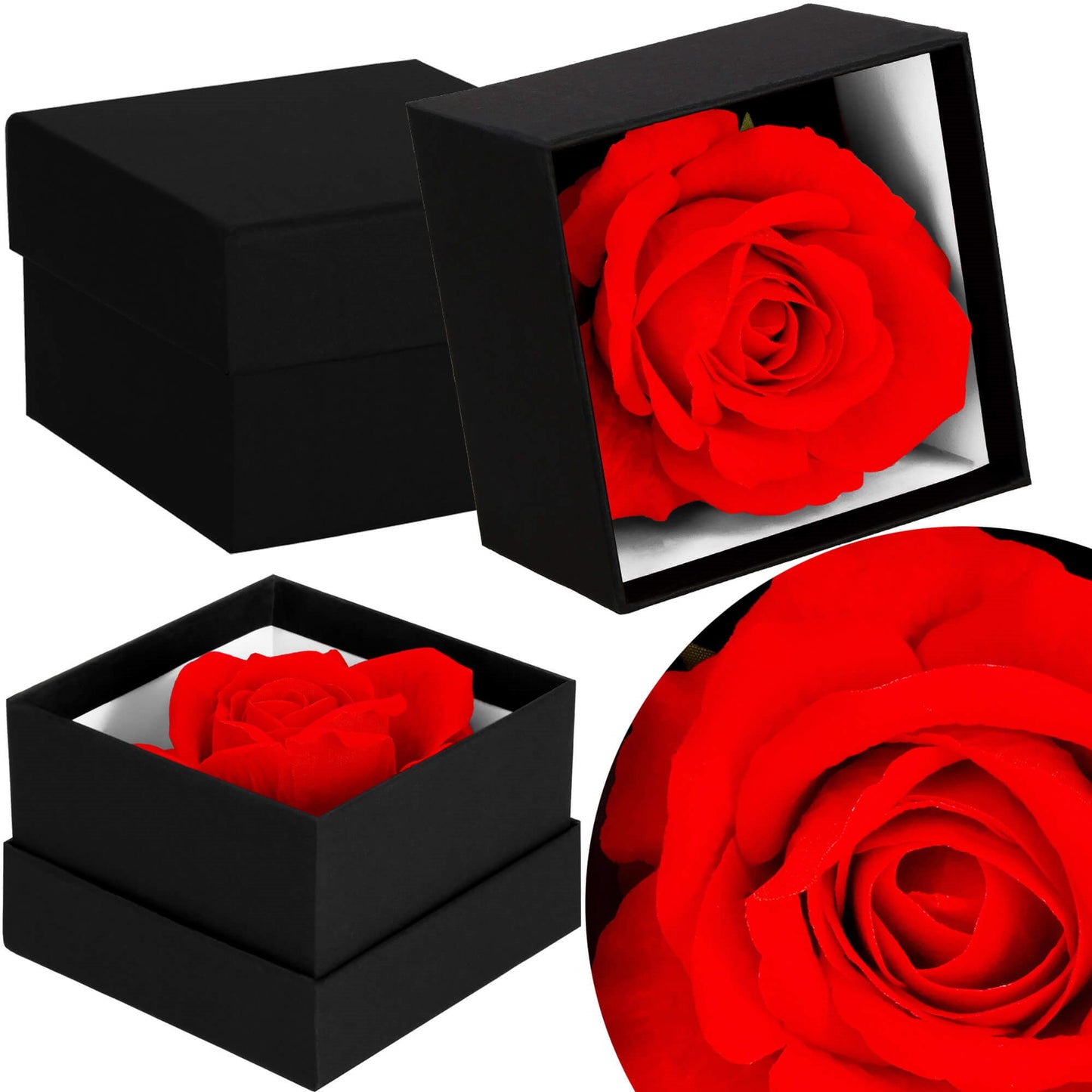 Amžinoji rožė  HA7447 dovanų dėžutėje