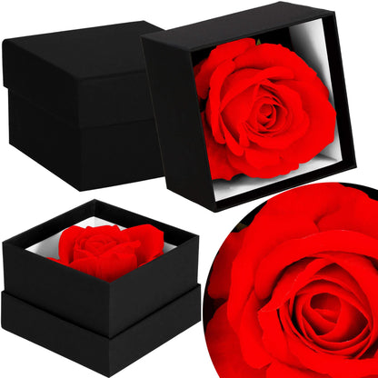 Amžinoji rožė  HA7447 dovanų dėžutėje