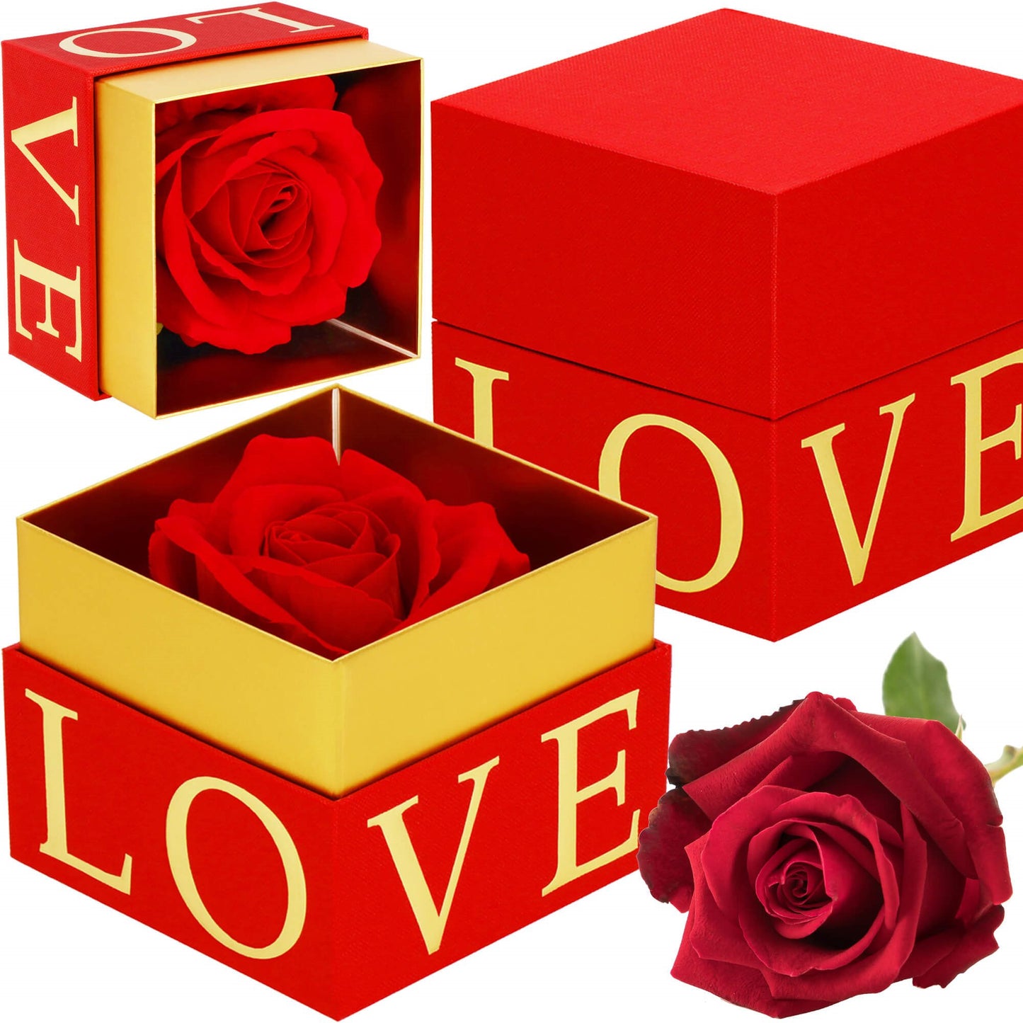 Amžinoji rožė  HA7448Amžinoji rožė dovanų dėžutėje – raudona su auksu