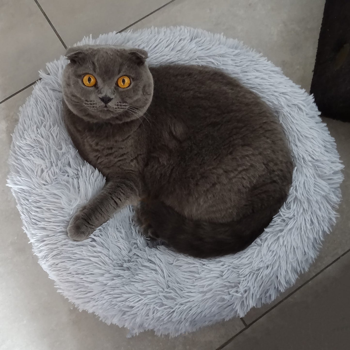 Šuns arba katės guolis  PA0128 110 cm