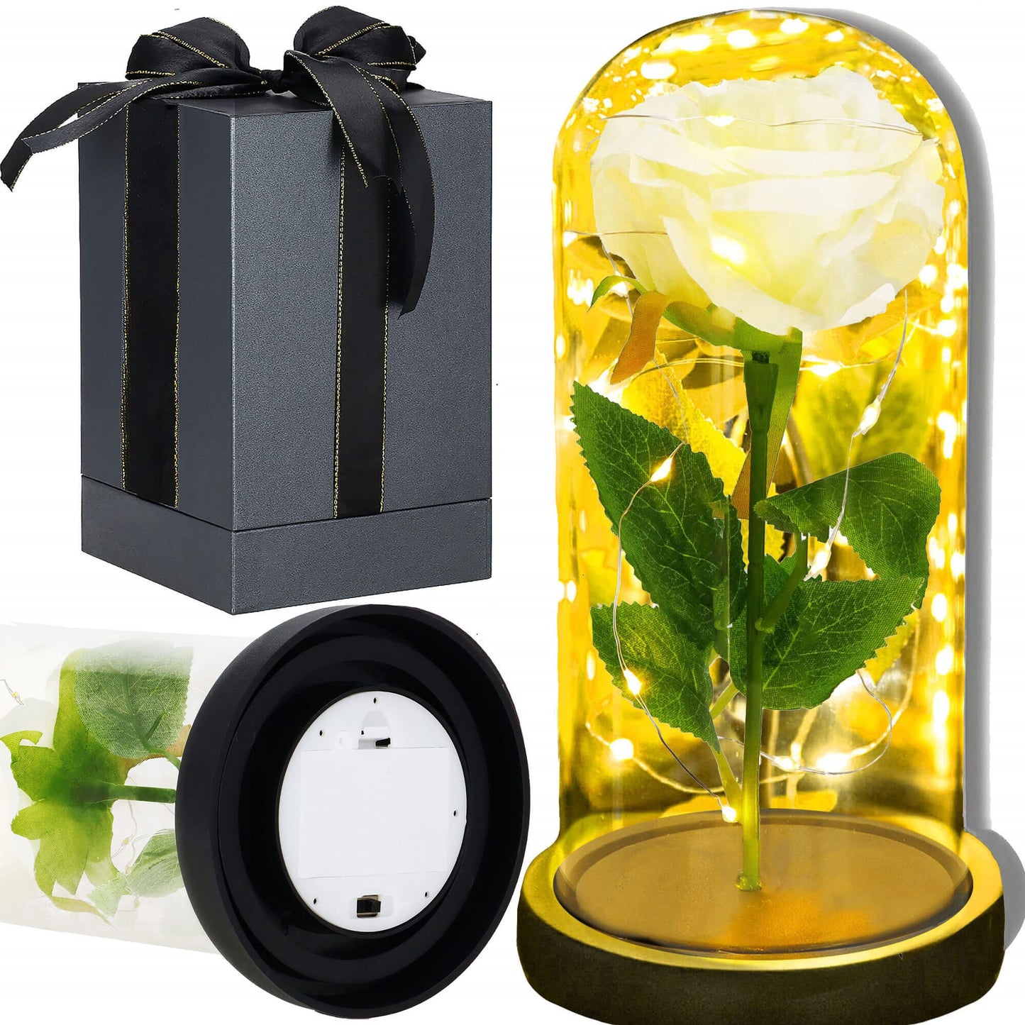 Amžinoji rožė stikliniame kupole  HA7443