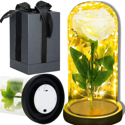 Amžinoji rožė stikliniame kupole  HA7443