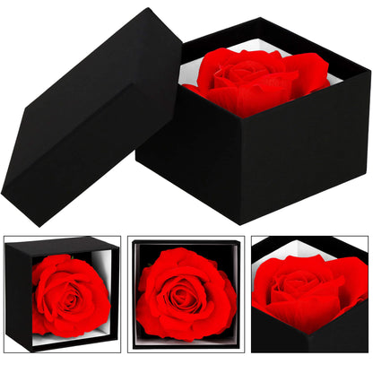 Amžinoji rožė  HA7447 dovanų dėžutėje
