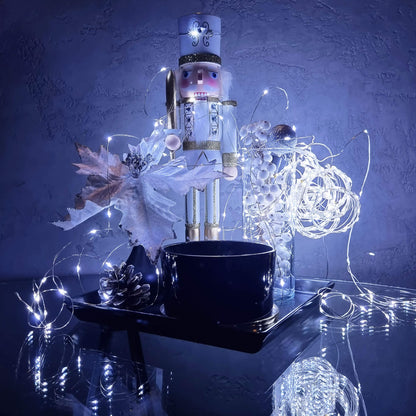 CL0106 Girlianda, 50 LED, šalta balta, 4.9m