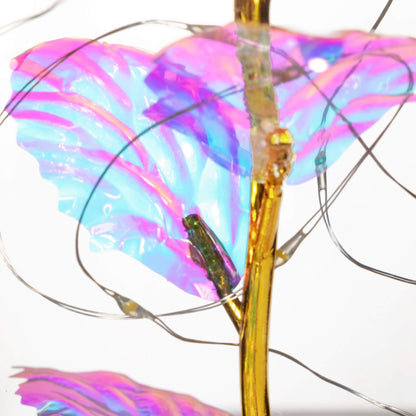 Amžinoji rožė stikliniame kupole  HA5159