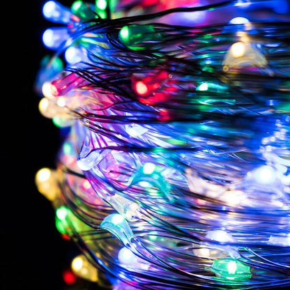 Dekoratyvinis apšvietimas CL0081 100 LED 10 m, spalvota