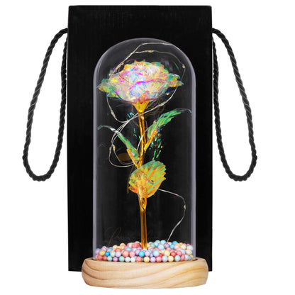 Amžinoji rožė stikliniame kupole  HA5159