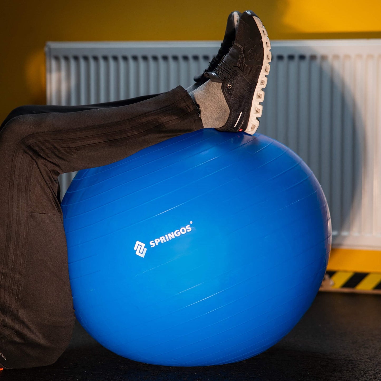 Gimnastikos kamuolys su pompa  FB0009 85cm