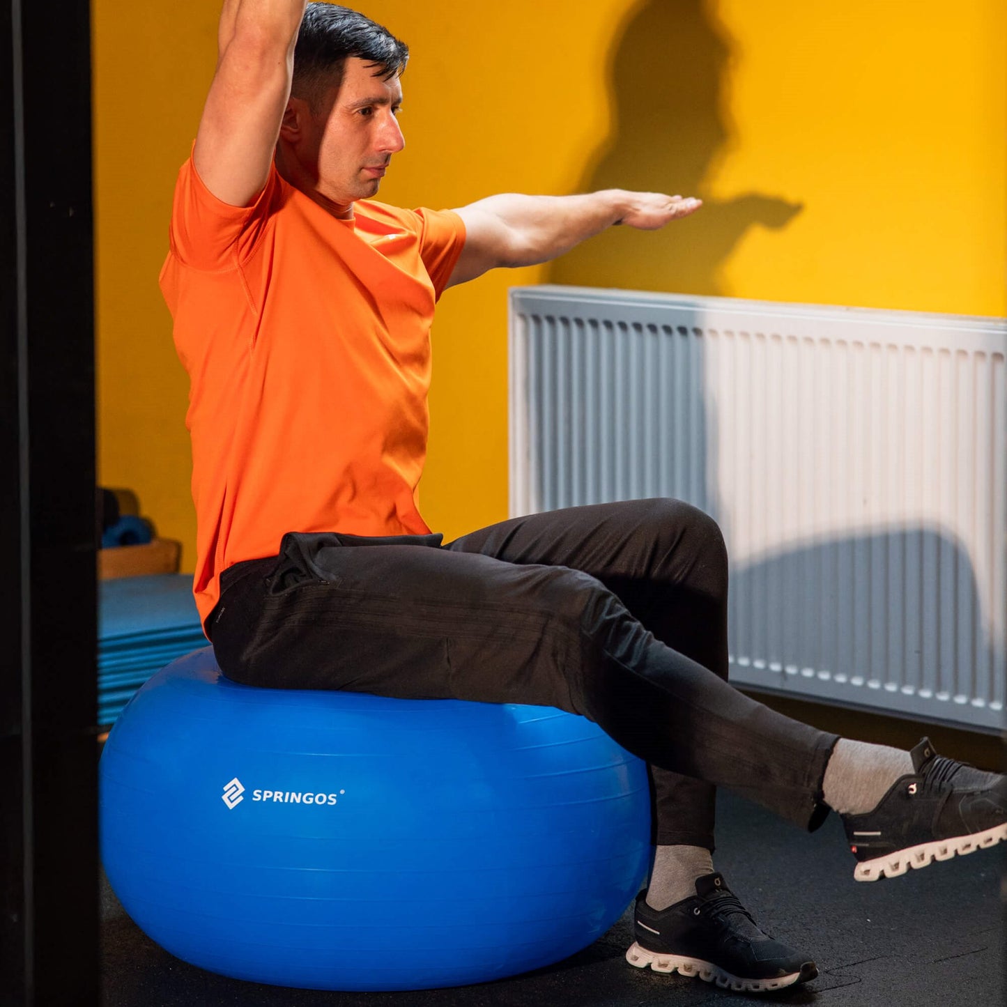 Gimnastikos kamuolys su pompa  FB0009 85cm