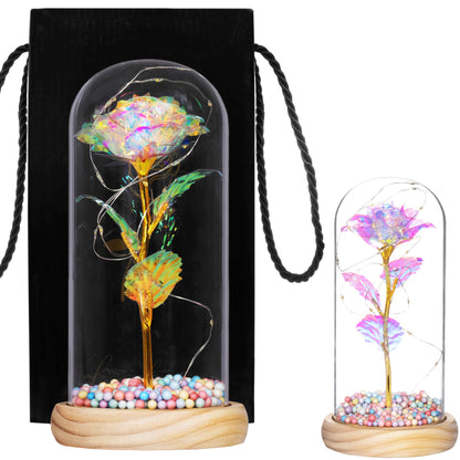 Amžinoji rožė stikliniame kupole  HA5159