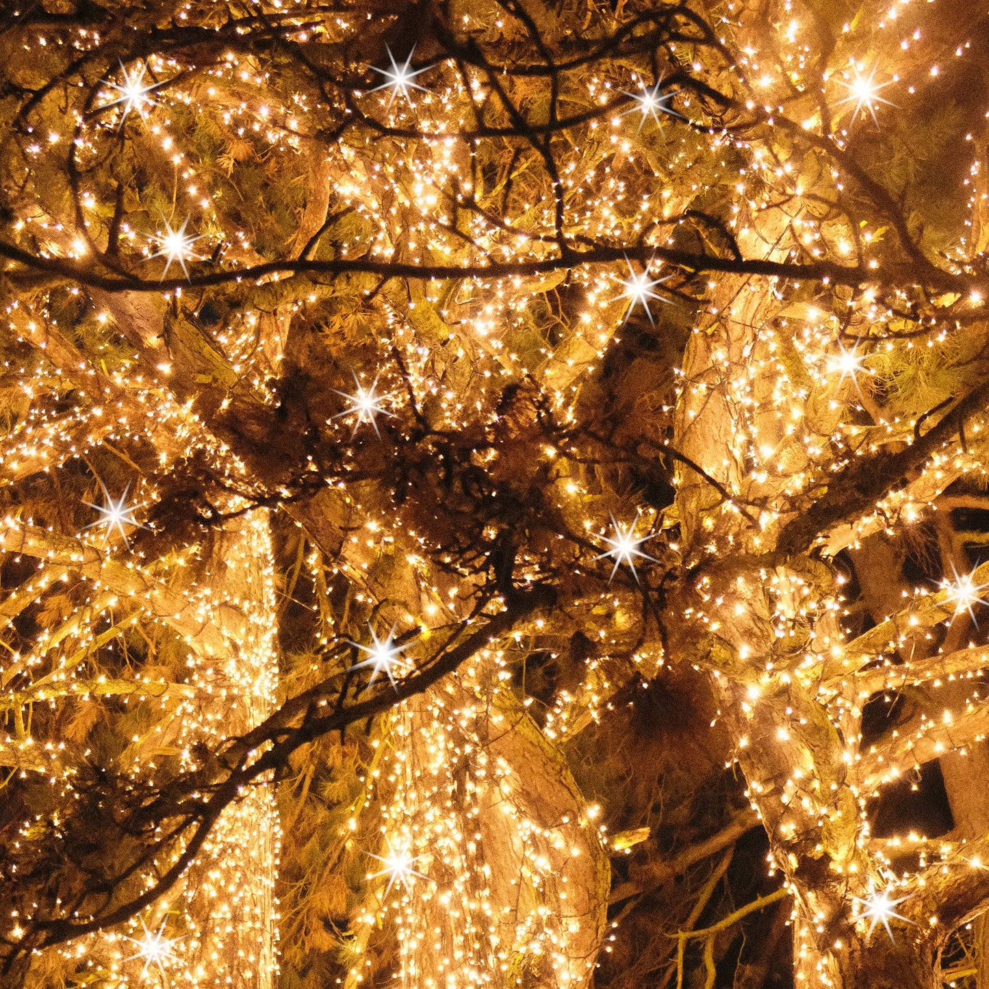 Kalėdinės lemputės CL4082 15m, šilta balta + šaltai balta blykstė